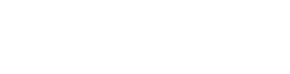 ZENN